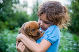 Relación entre niños y mascotas